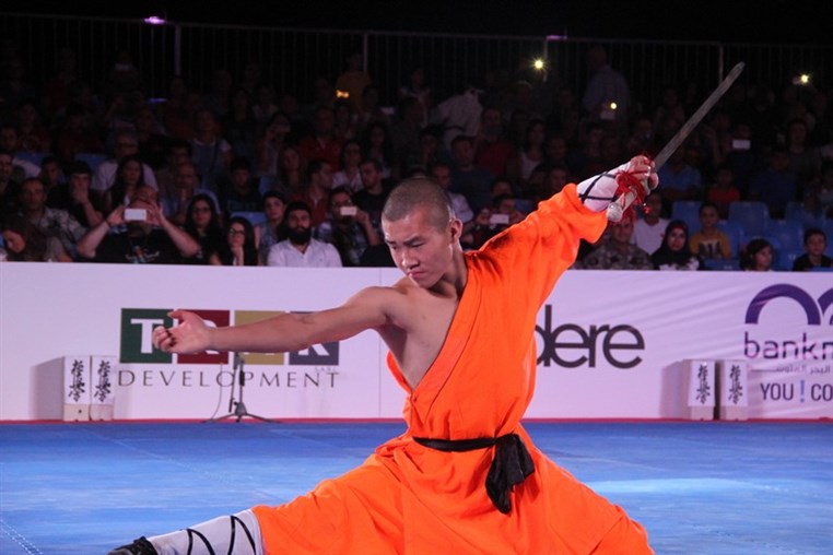 Martial Arts Festival